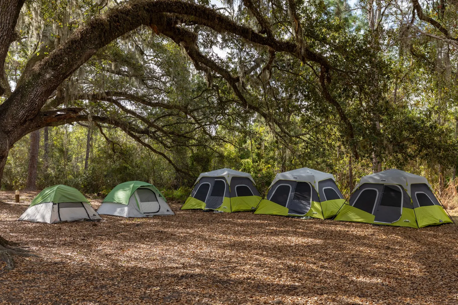 Kelty Wireless 4 tent pitched in a forest clearing with trees in background