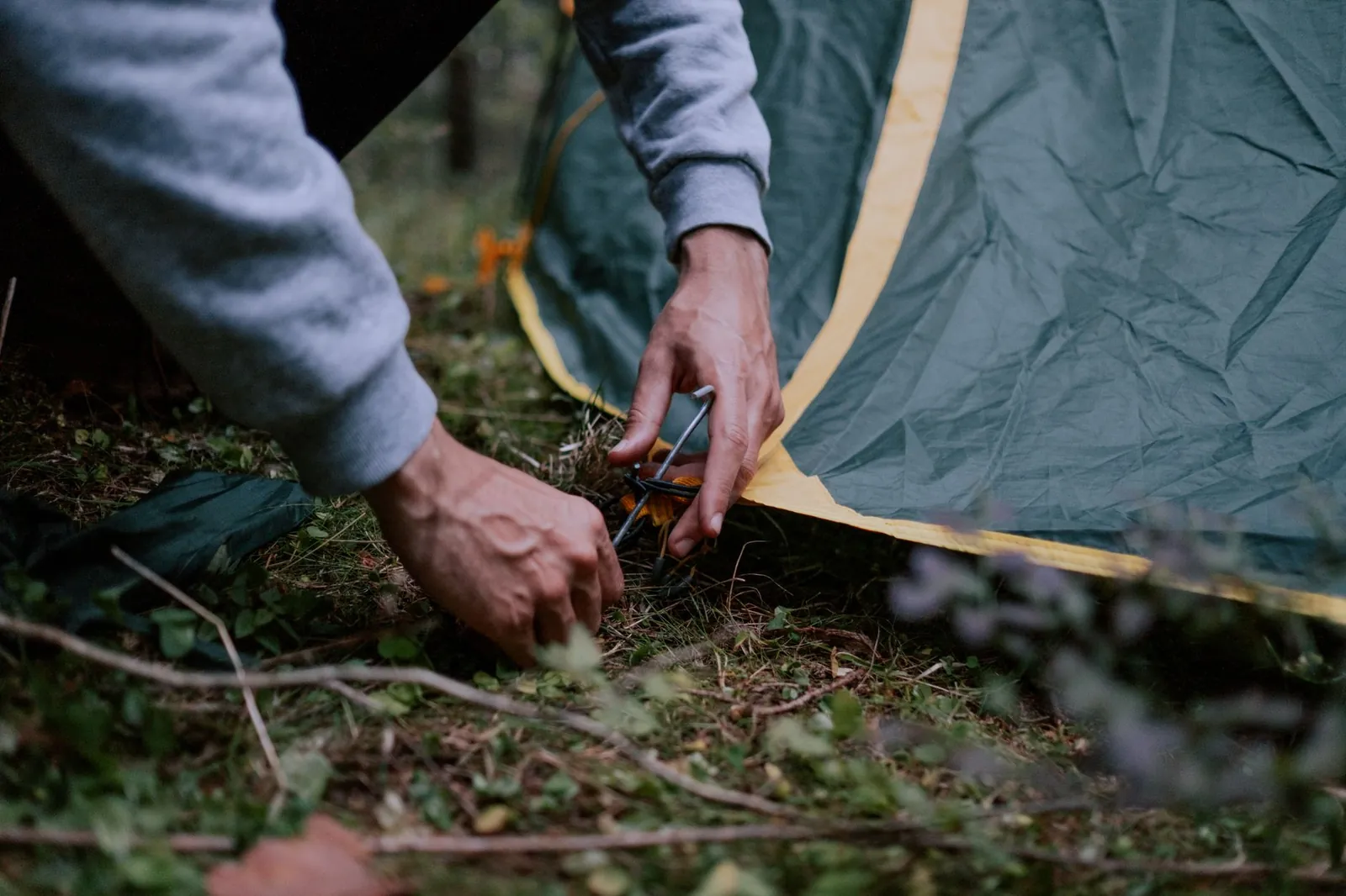 Coleman North Rim synthetic sleeping bag and Therm-a-Rest Z Lite Sol foam pad laid out on grass