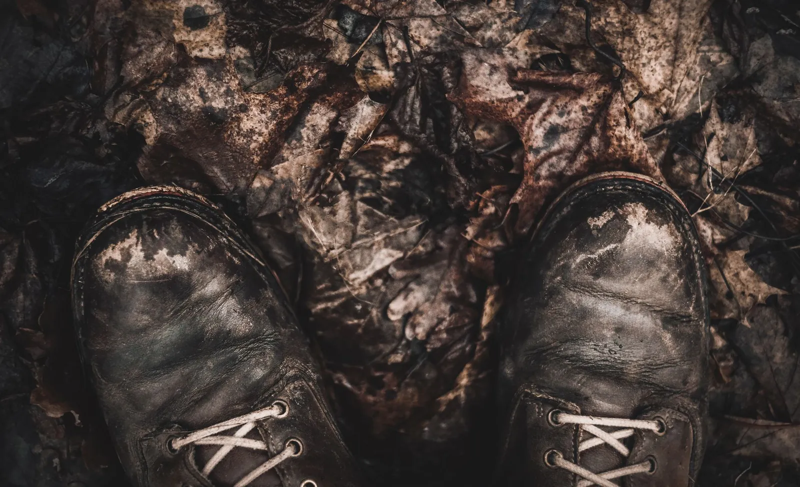 Close-up of Merrell and Salomon beginner hiking boot soles side by side on wet rock