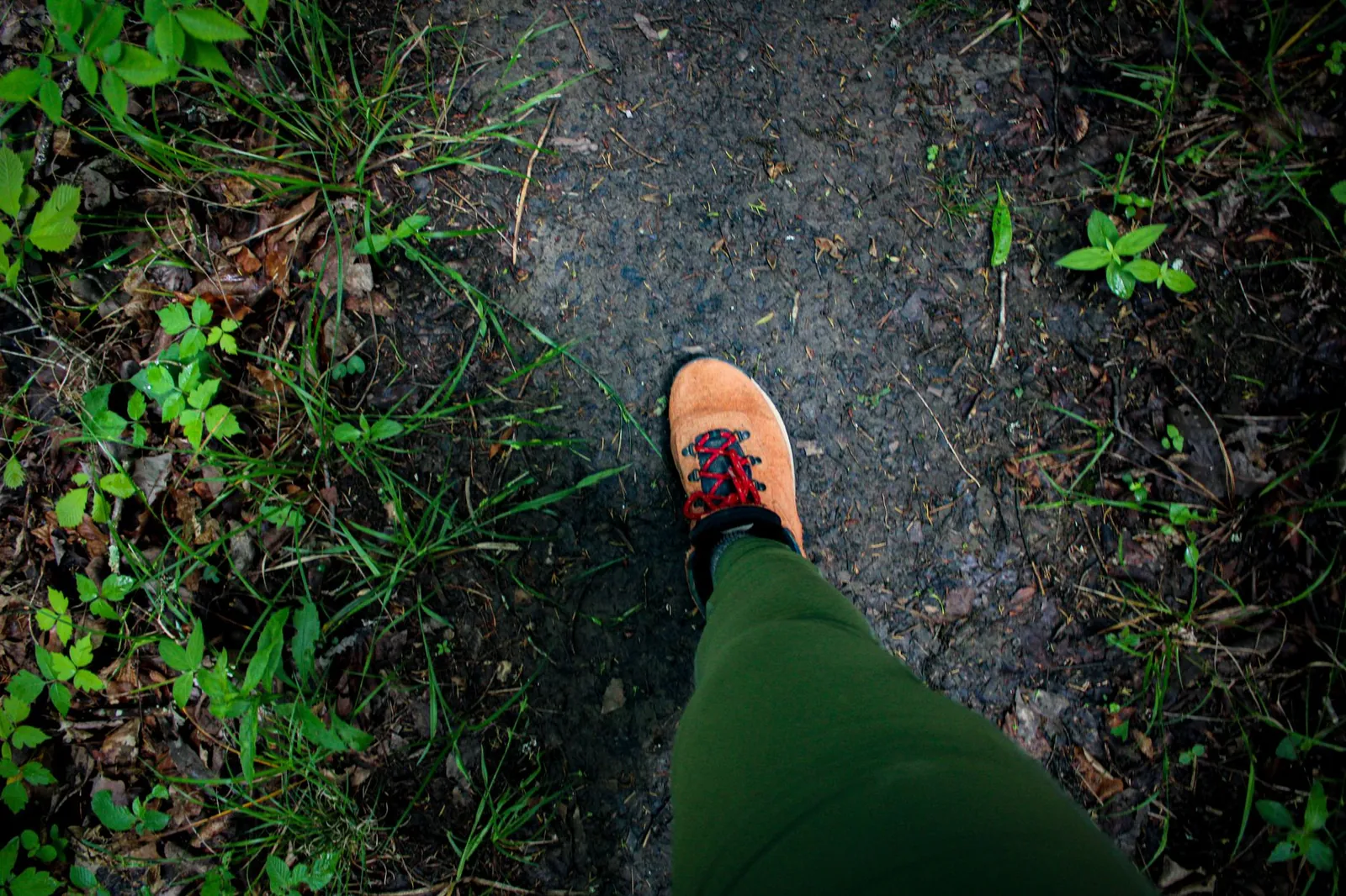 Hiker lacing up waterproof hiking boots on a muddy forest trail