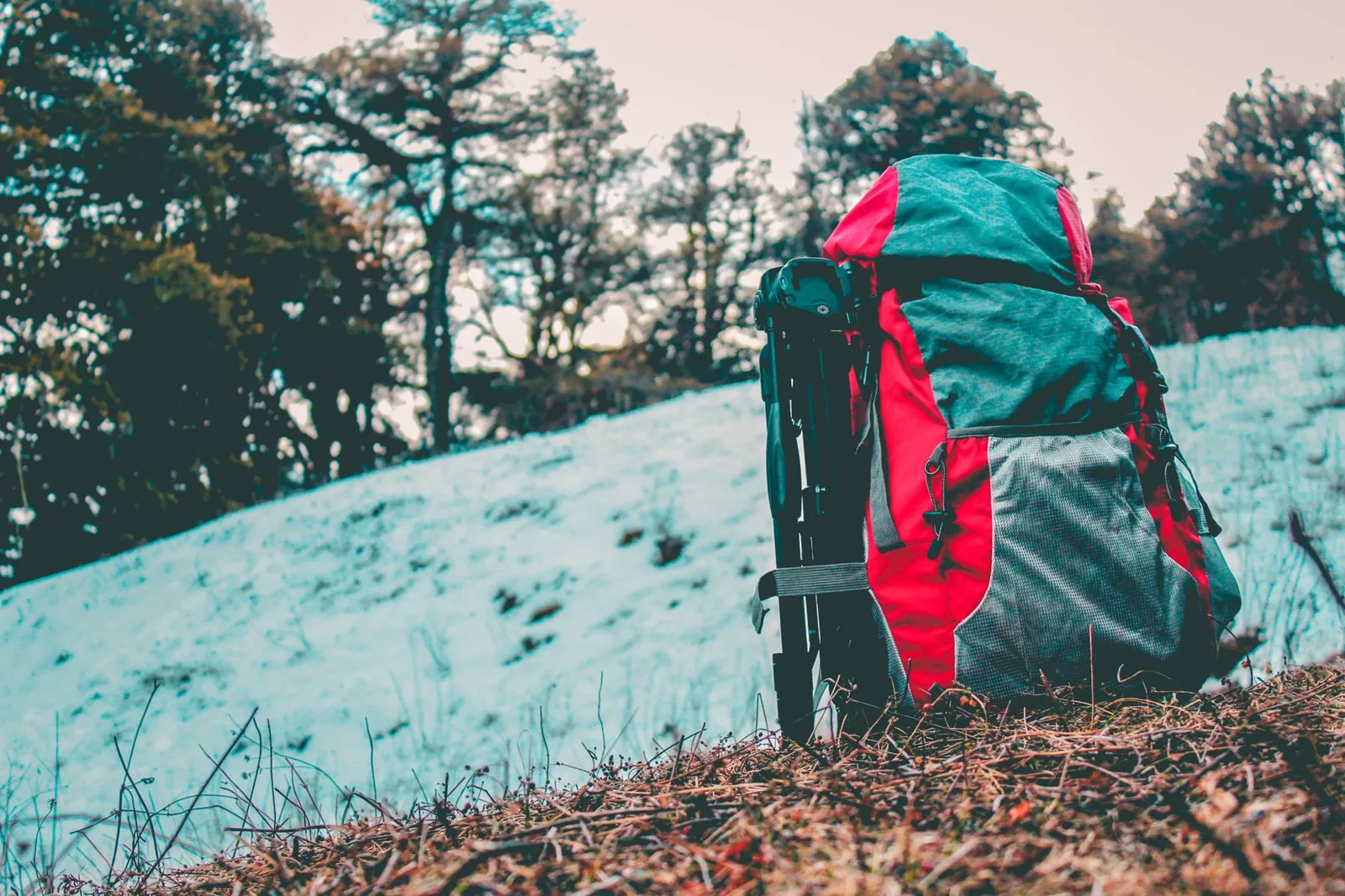 Hiker wearing broken-in mid-cut hiking boots and a fitted 25L daypack on a rocky forest trail