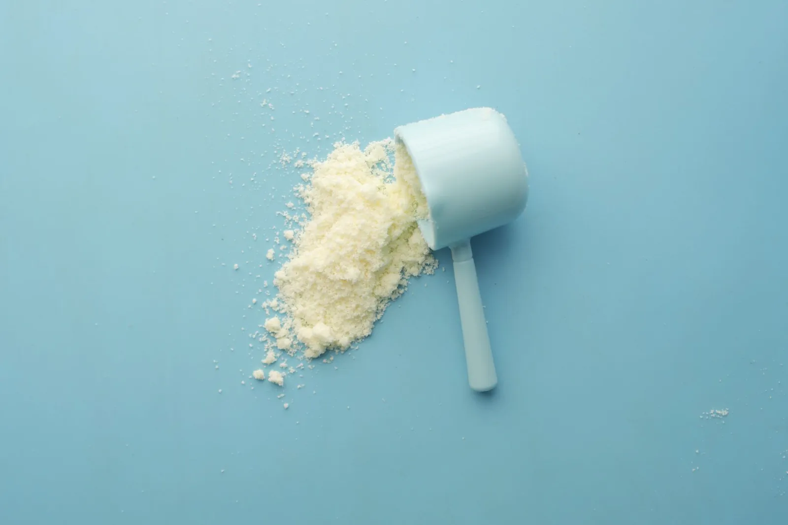 Four scoops of protein powder side by side—whey isolate, whey concentrate, casein, and a pea-rice plant blend—showing color and texture differences