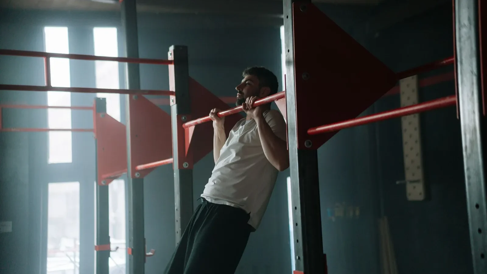 Four types of home pull up bars side by side: doorway bar, wall-mounted bar, power tower, and ceiling-mounted bar in a garage gym