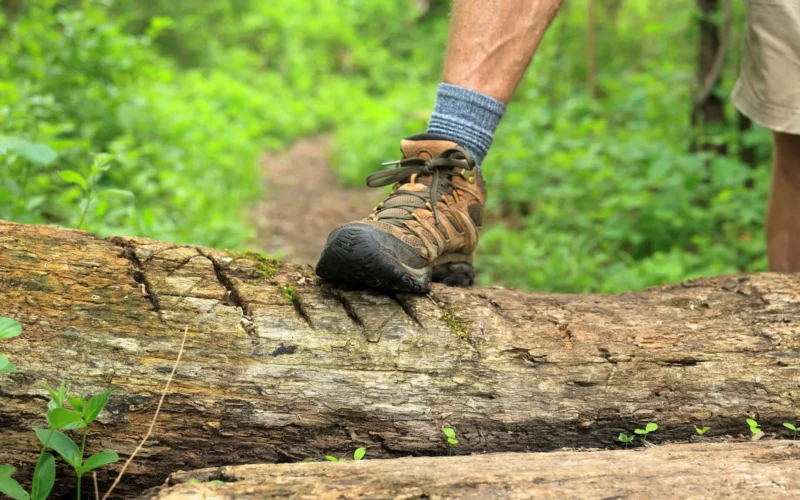 Four types of hiking footwear displayed side by side: lightweight hiking shoe, mid-cut hiking boot, high-cut backpacking boot, and insulated mountaineering boot