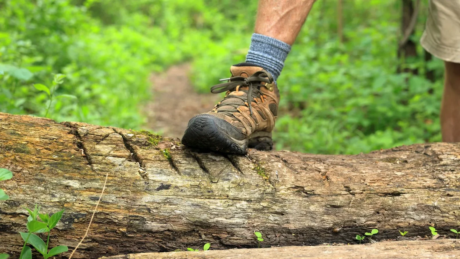 Side-by-side of a low-cut lightweight hiking shoe and a high-cut sturdy hiking boot showing collar height and midsole thickness differences